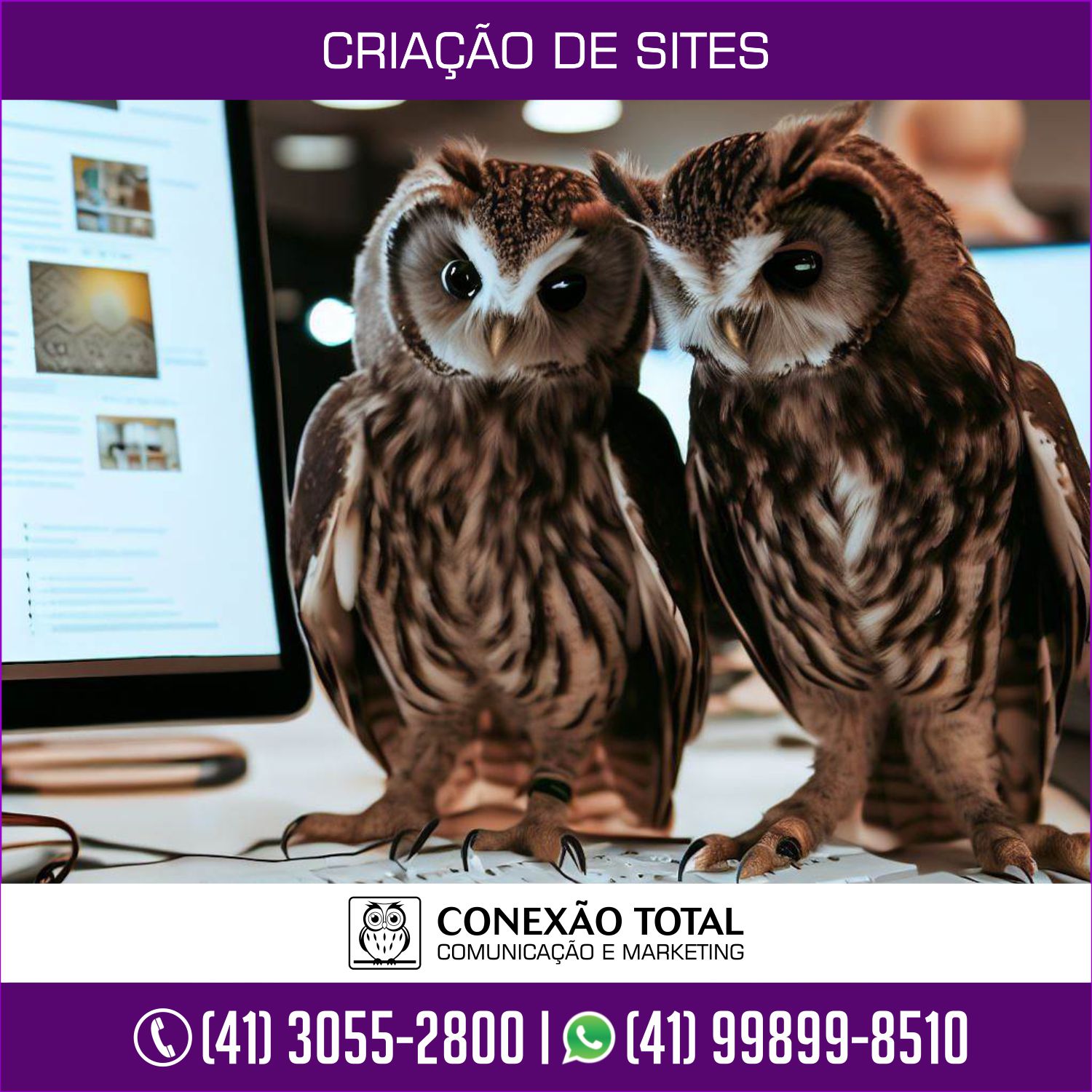 Empresa Criação de Sites em Curitiba